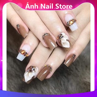 Sơn gel thạch Bobo màu nâu🍓🍓