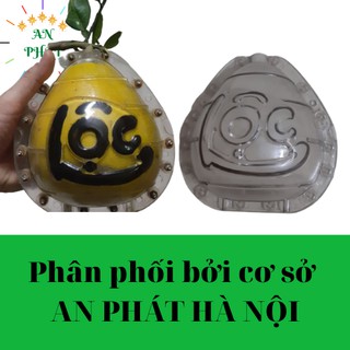 Khuôn Giọt Nước - Khuôn Tạo Hình cho Trái Cây trái Bưởi, Dưa Hấu, Dưa Vàng, Đào Tiên của Cơ sở AN PHÁT HÀ NỘI