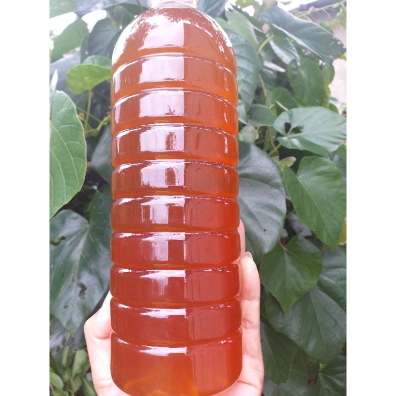 MẬT ONG ĐakLak ( nguyên chất )
