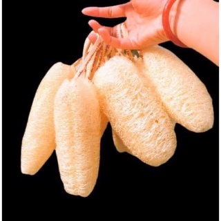 Bông Tắm Xơ Mướp Vi Lâm