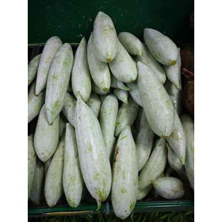 Hạt Giống KHỔ QUA TÂY (5 Gr)