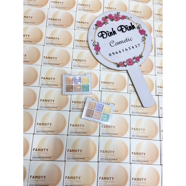 Bảng triệt sắc, che khuyết điểm 6 ô Famoty