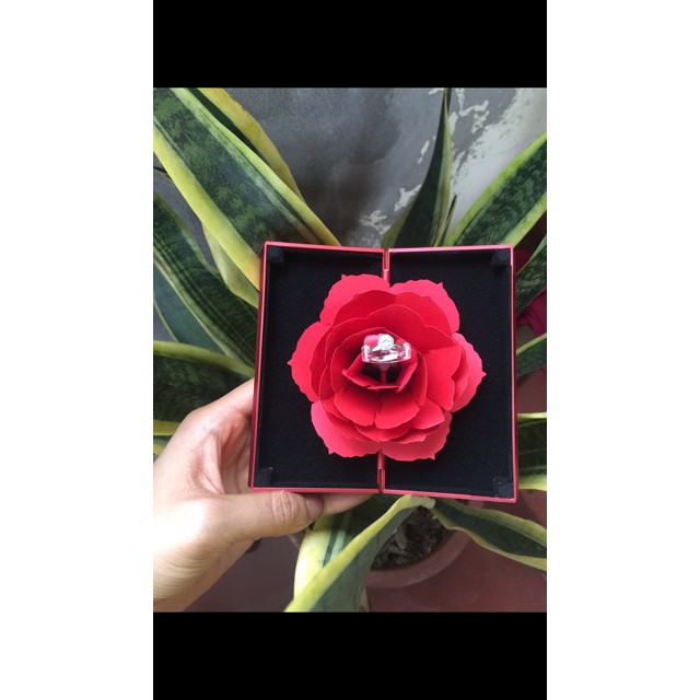 Hộp Hoa Hồng Đựng Nhẫn Bạc ALIS Món Quà Ý Nghĩa | BigBuy360 - bigbuy360.vn