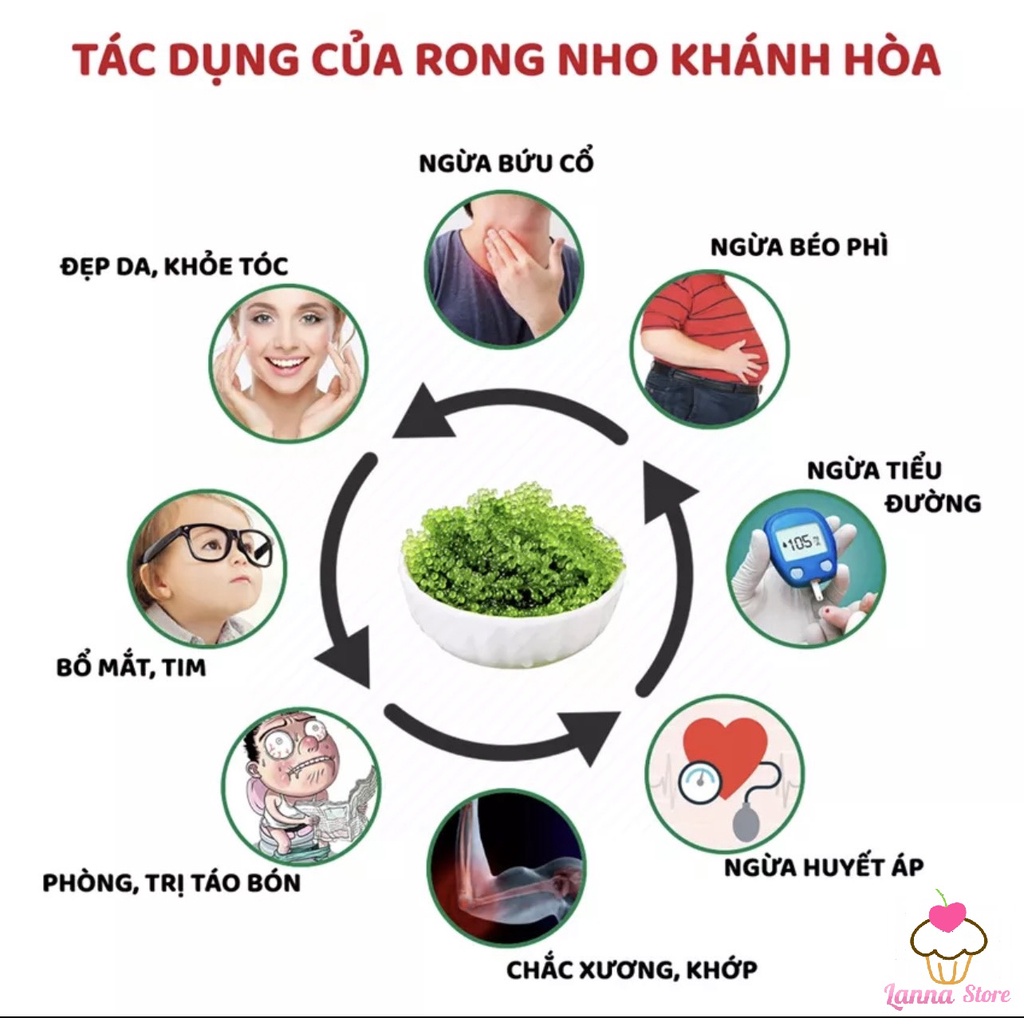[HOT] Rong Nho Tách Nước Khánh Hoà - Công Nghệ Tách Nước Tiêu Chuẩn Nhật Bản
