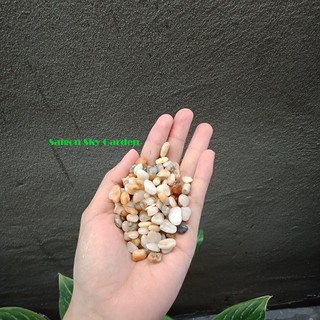 Sỏi size Trung nhiều màu để trang trí