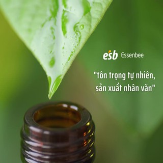 Tinh dầu xịt phòng Bạc Hà – Essenbee – 100ml