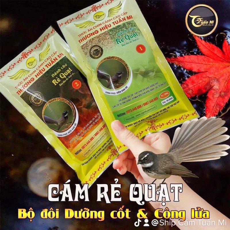 CÁM RẺ QUẠT SỐ 1 TUẤN MI