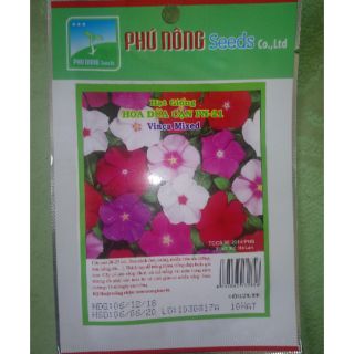 Hạt giống hoa dừa cạn