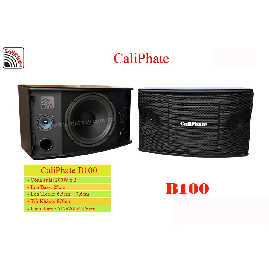 Loa treo tường caliphate B100C- 3 loa: 1 Bass 25P100C25, 1 tép 3 inh, 1 tép 2.5 inh mành sắt (1 đôi)