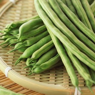 Hạt giống Đậu Que cao sản
