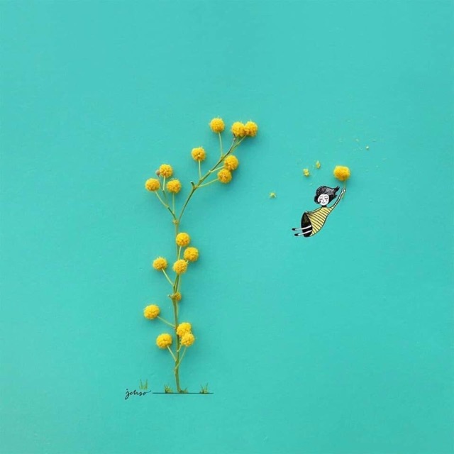 hoailinh024