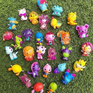 Combo Hatchimal trứng và hình