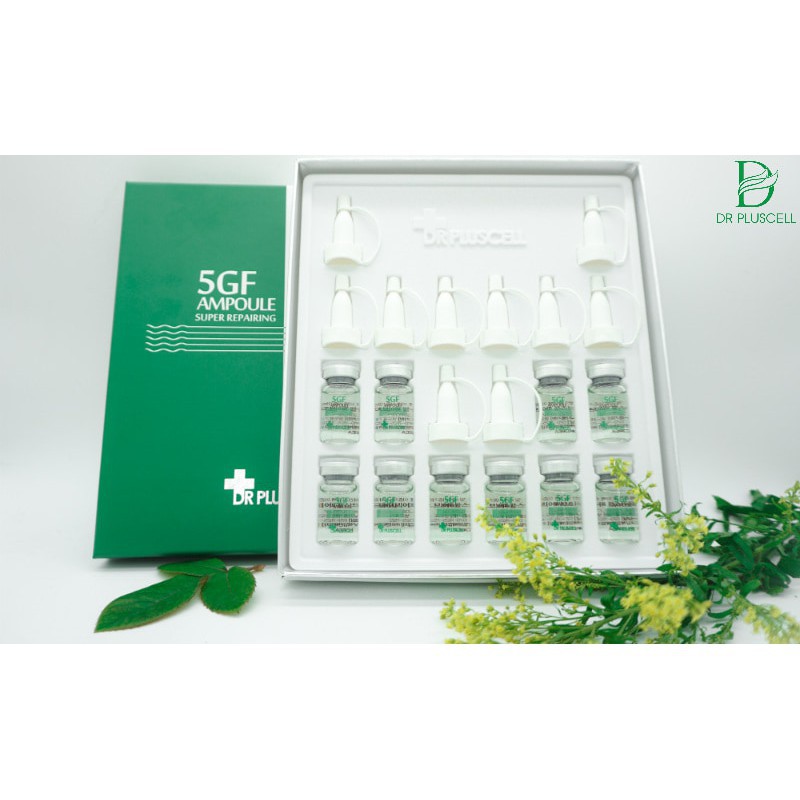 [Chính hãng] Tế Bào Gốc Phục Hồi, Chống Lão Hóa, làm đầy sẹo và trắng da Dr Pluscell 6GF Ampoule (1 lọ 8ml)