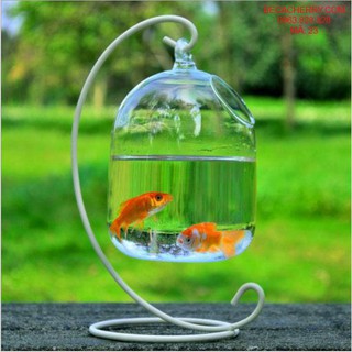 Bể cá mini phong thủy để bàn giá rẻ loại đơn cỡ nhỏ 23 ( Tặng kèm combo 03 phụ kiện trang trí )