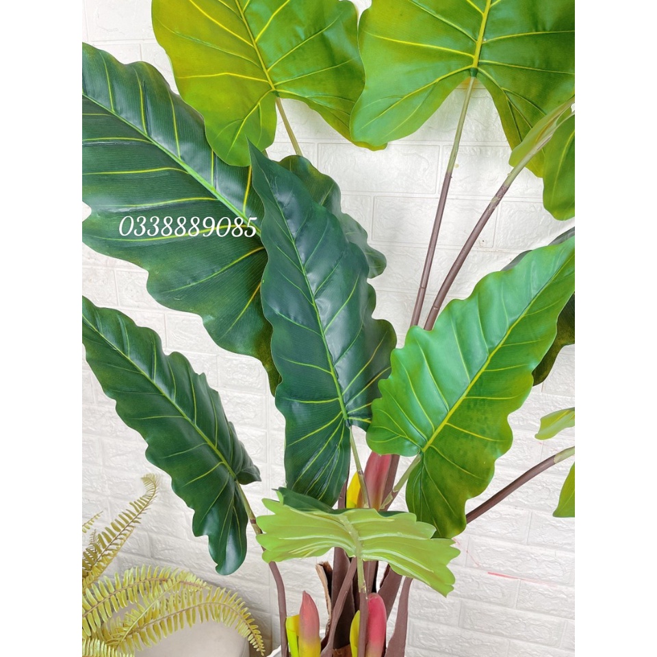 Cây giả-Cây Tai Voi Nam Phi loại cao cấp ,decor cực đẹp