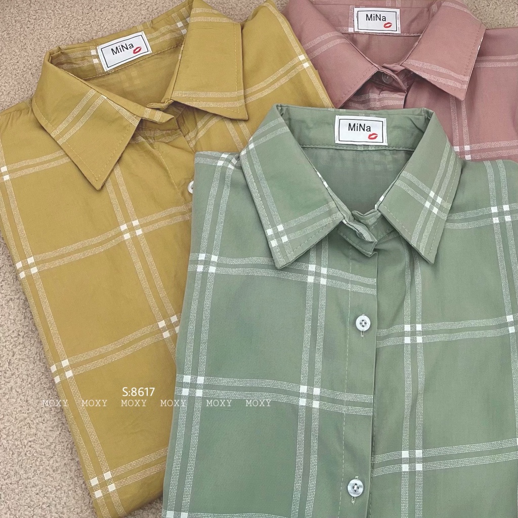 SP008617 - Set áo somi
