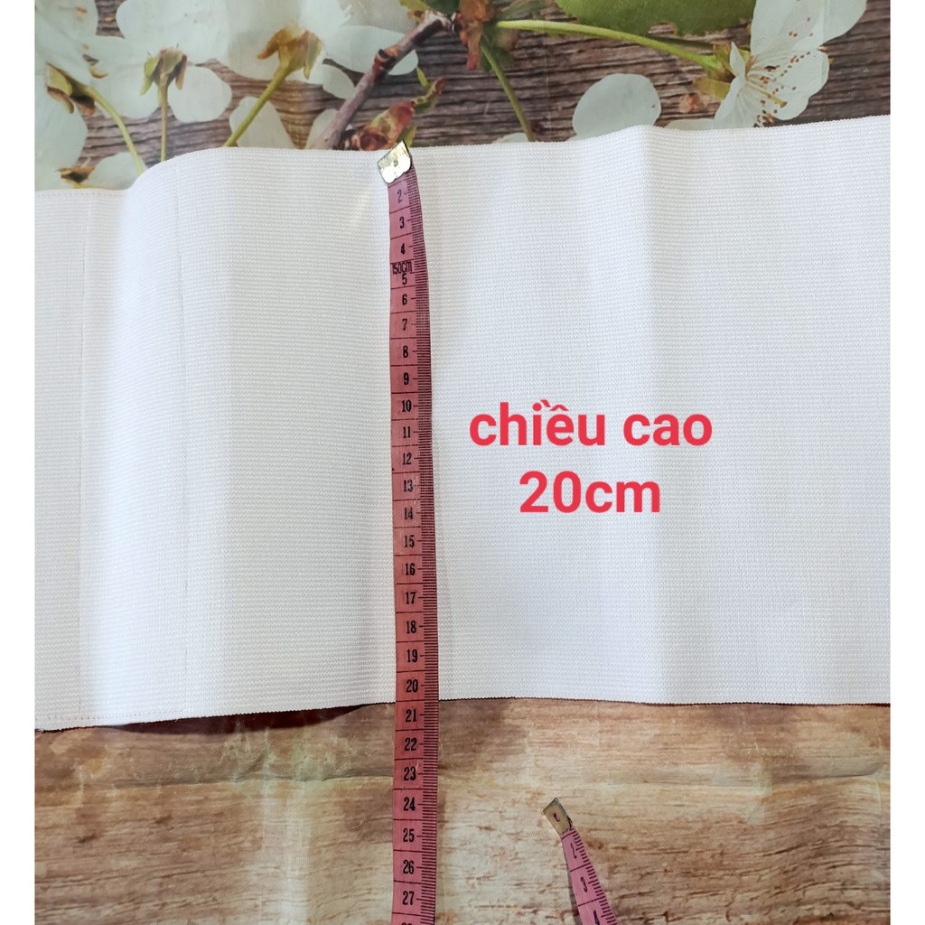 Gen định hình gen nịt bụng bản ngắn dạng dán không xương | BigBuy360 - bigbuy360.vn