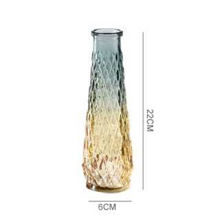 Bình thủy tinh trang trí cây xanh ( 22cm )