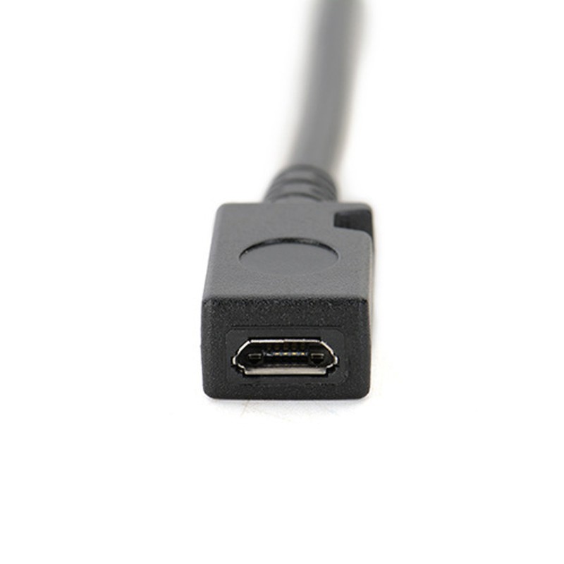 Cáp Chuyển Đổi Micro Usb Sang Mini Usb 13cm