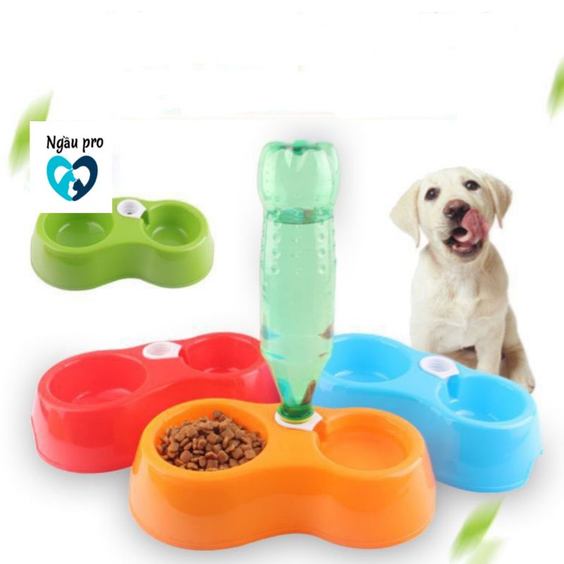 Bát ăn cho chó mèo 2 ngăn có gắn bình nước hình gấu - Bát nhựa đôi cho thú cưng ăn uống ngaupet