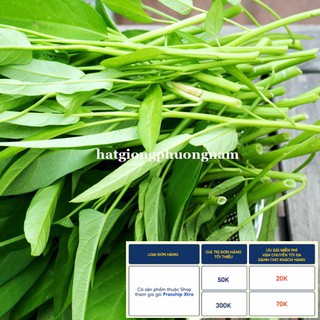 50GR - HẠT GIỐNG RAU MUỐNG