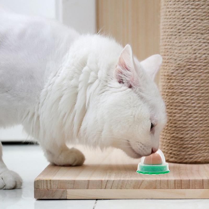 Vỏ Bọc Quả Bóng Catnip / Kẹo / Đồ Ăn Nhanh Hình Tròn Chống Bụi An Toàn Cho Mèo