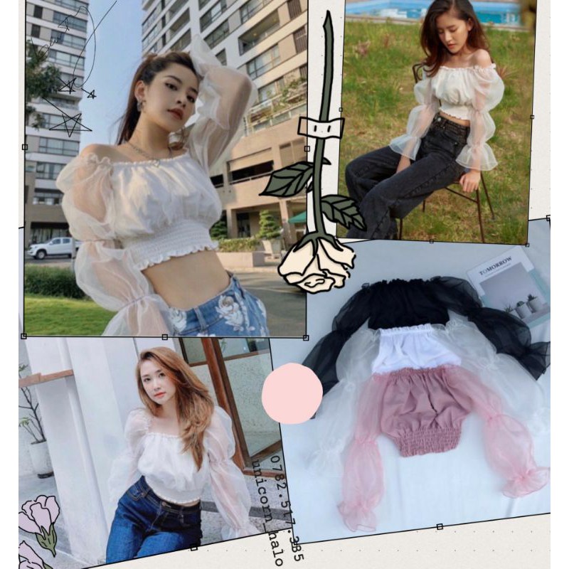 Áo Trễ Vai Voan Kiếng Nhún Croptop Hở Vai Tay Dài Phồng Bo Thun Nữ Xinh Như Hotgirl Chipu DRACR05 Mys hitshop | BigBuy360 - bigbuy360.vn