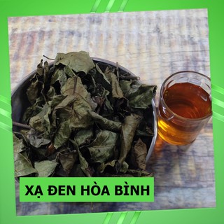 Cây Xạ Đen Hòa Bình ( Xạ Đen )