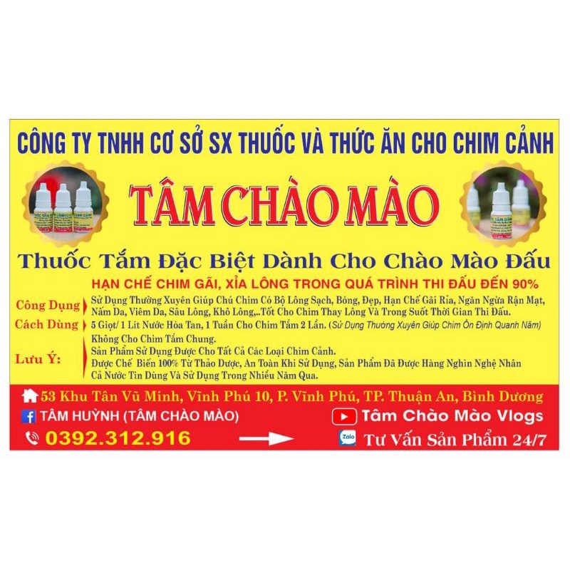 Nước tắm cho chim chào mào tâm chào mào