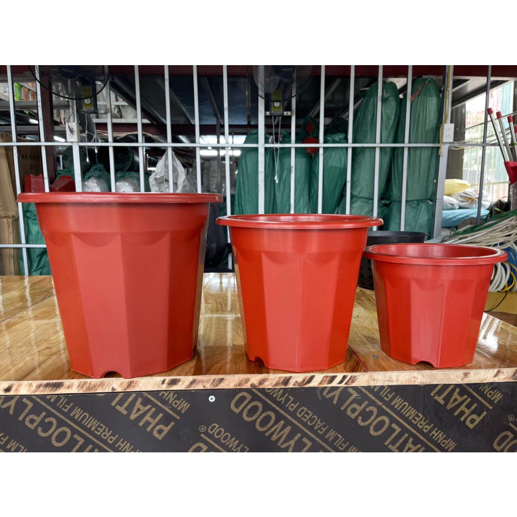 CHẬU NHỰA TRỒNG CÂY E250- E280-E300-E330-E350