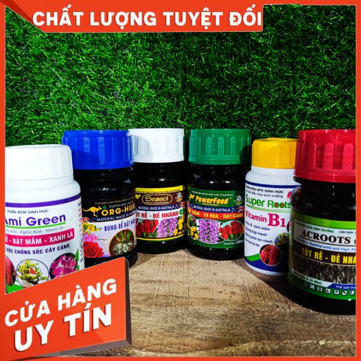 Combo 6 chai phân 🌳bón hữu cơ 🌲 Chăm sóc lan cao cấp chính hãng power feed +Sesol+Org-hum+Ami green+Super Root B1