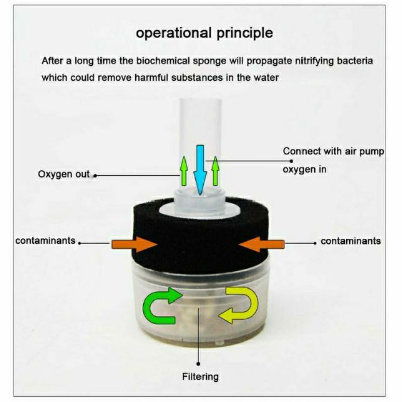 Lọc Sủi Vi Sinh Mini 2 Tầng xy-168 -Milo Guppy