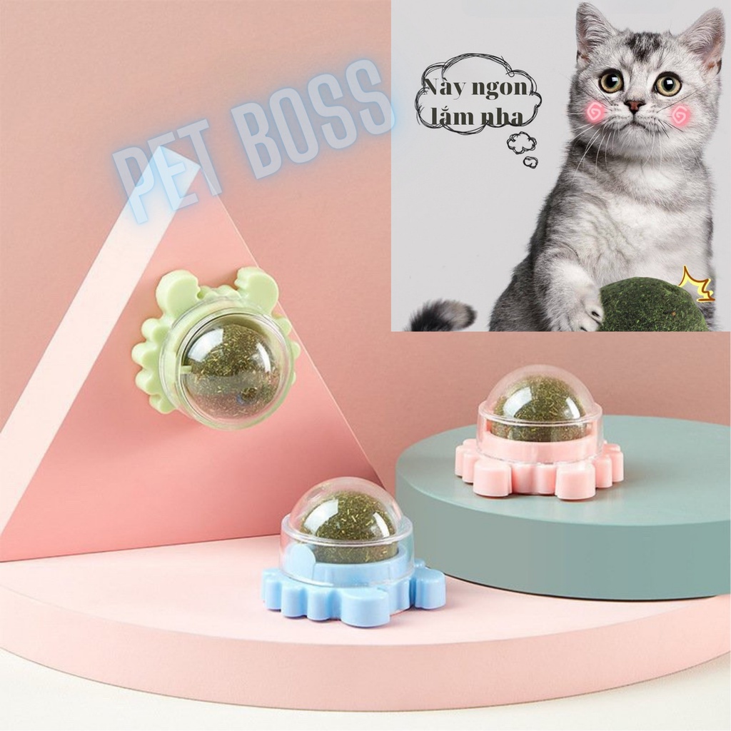 VIÊN CATNIP CỎ MÈO BẠC HÀ GẮN TƯỜNG GIẢM STRESS CHO MÈO