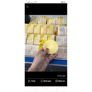 Miếng rửa mặt bọt biển túi 12 miếng