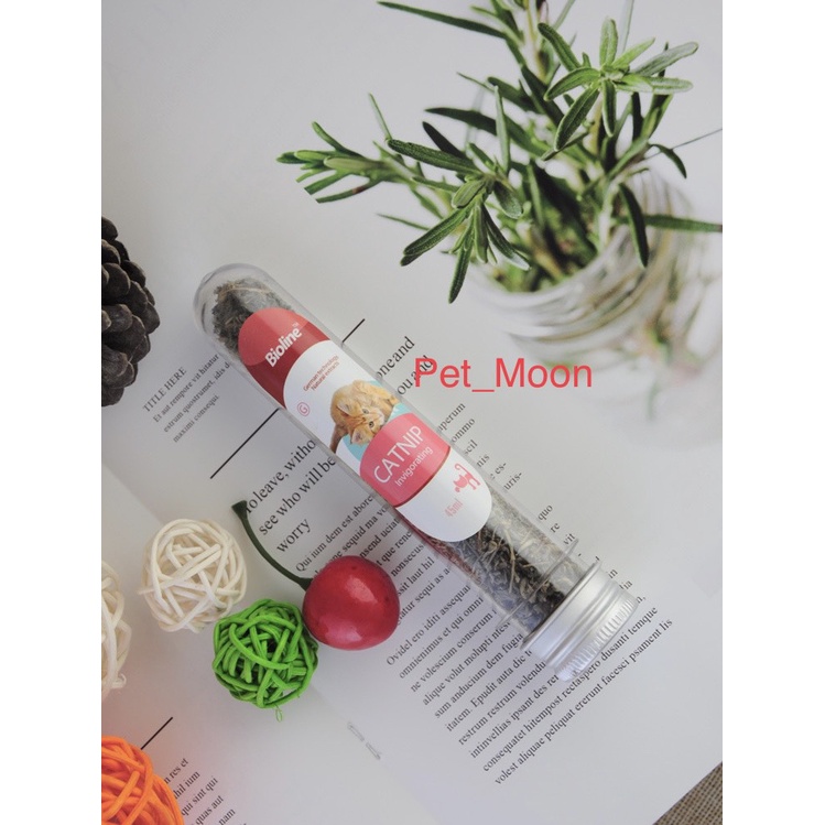 Cỏ Bạc Hà CAT MIN, thức ăn cho mèo.