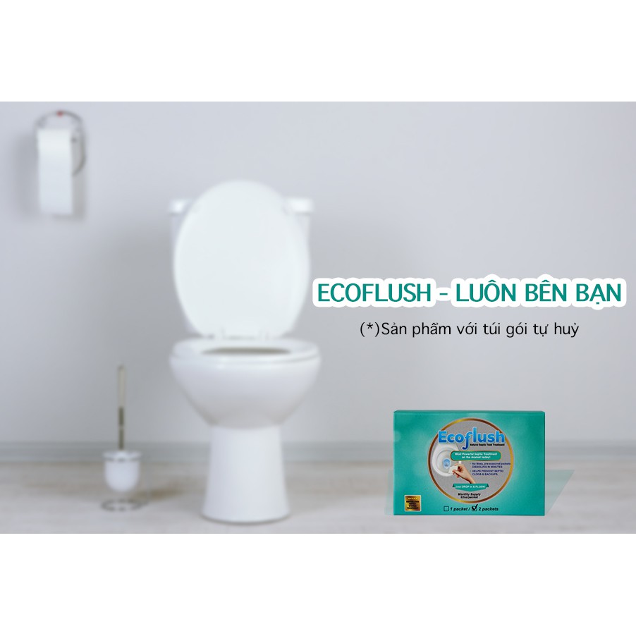 Vi Sinh Xử Lý Bồn Cầu, Bể Phốt Đầy, Tràn - EcoFlush Hộp Nhỏ - Túi Gói Sinh Học Tự Huỷ