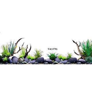Tranh dán hồ cá thuỷ sinh ,có keo sẵn, nhiều kích thướt chọn lựa