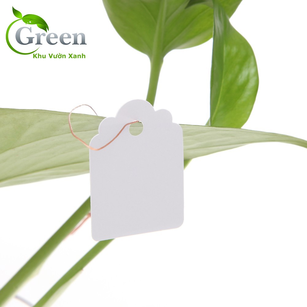Set 100 thẻ tag ghi tên đánh dấu cây trồng bằng nhựa chống thấm nước 3x4,5cm (có dây treo)
