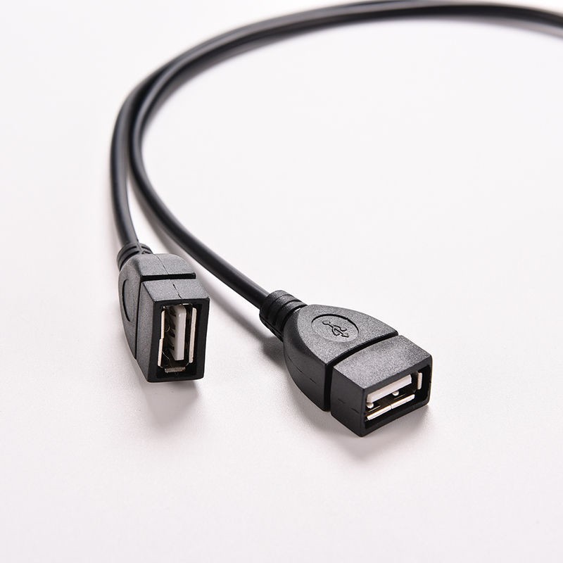 Cáp Jack Y chuyển USB 2.0 A Đực  sang 2 Dual USB cái Jack Y