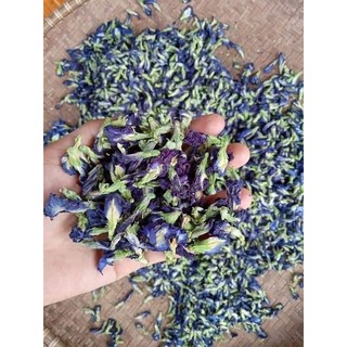 Hoa Đậu Biếc nhà trồng
