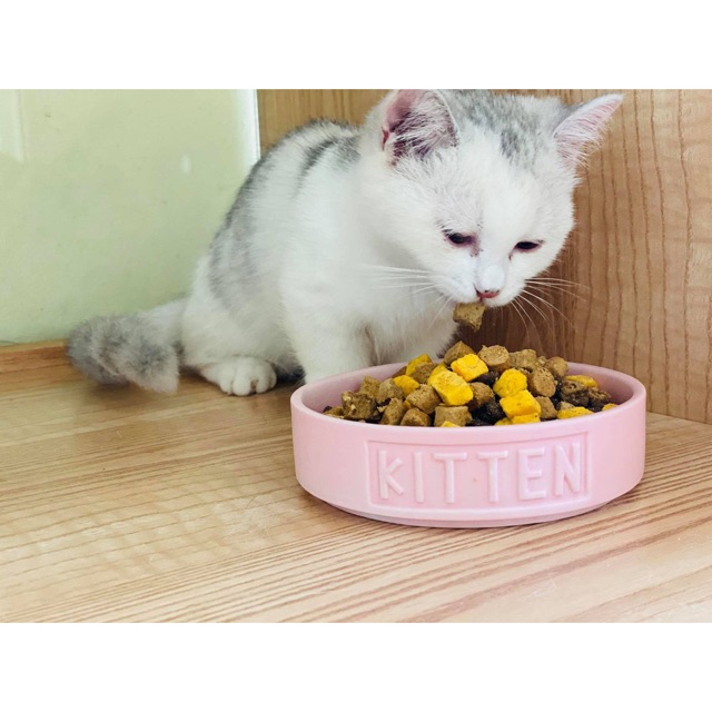 Thức ăn mèo Mister Donut