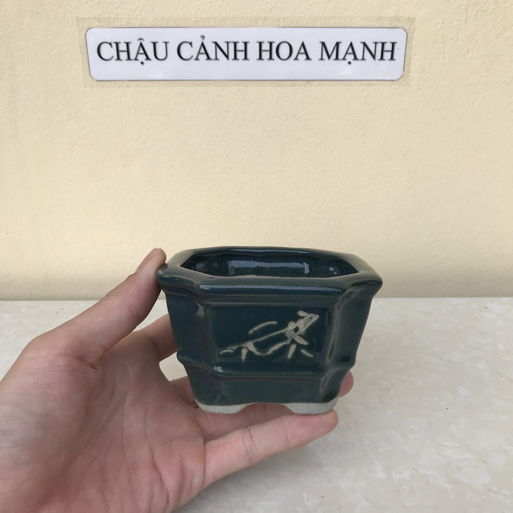Chậu Vuông khắc bonsai sen đá mini màu xanh ngọc gốm Bát tràng 1 size SP428