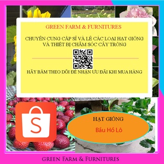 Hạt giống bầu hồ lô Bầu Đá