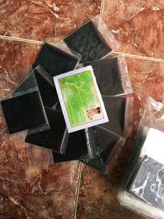 Cao chè vằng Quảng Trị 