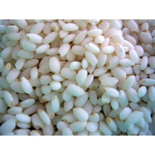 [1kg/ 5kg] Nếp Bắc Cái Hoa Vàng  – nếp 6 tháng dẻo thơm ,hạt tròn nhỏ, chuẩn vị ngon