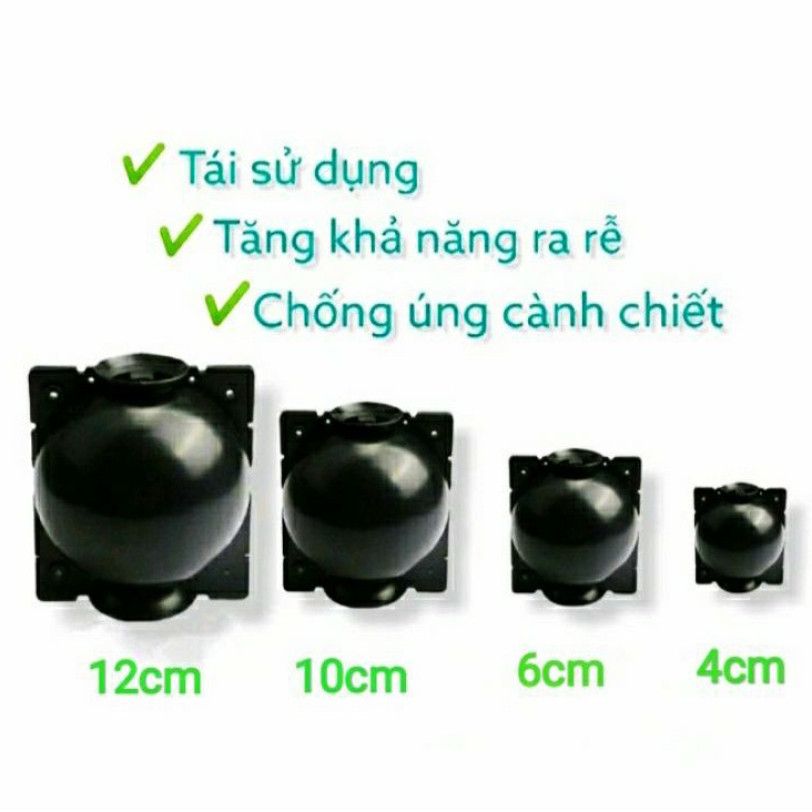 Bầu Nhựa Hỗ Trợ Chiết Cành Đủ Size 4-&gt;12cm Tăng Khả Năng Ra Rễ, Chống Úng Cành Chiết