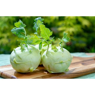 HẠT GIỐNG TỐT SU HÀO 2 gram