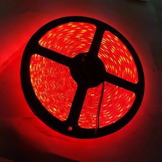 Cuộn Led dây dán 5m 5050 silicon 1 màu