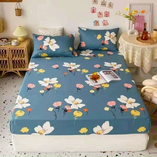 Bộ ga gối cotton