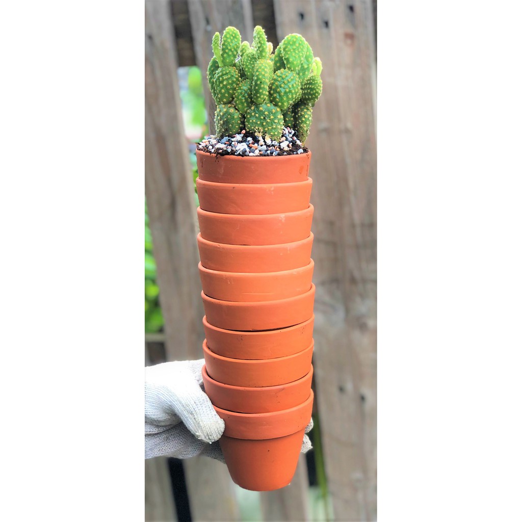 Bộ 10 chậu đất nung trồng xương rồng sen đá Rộng 9,5 cm x Cao 8 cm
